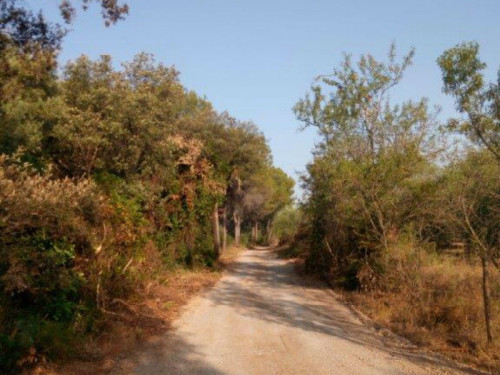 Arranjem l'anti camí Ral a Martorell