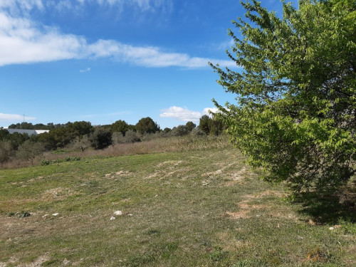 Projecte Zona de pícnic al polígon Sant Ermengol