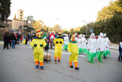 Gran Rua de Carnaval