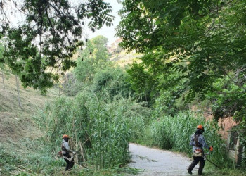 campanya de manteniment de les franges perimetrals de seguretat contra incendis forestals i zones verdes. Les Carpes