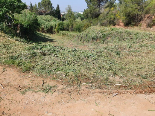 campanya de manteniment de les franges perimetrals de seguretat contra incendis forestals i zones verdes. Les Carpes