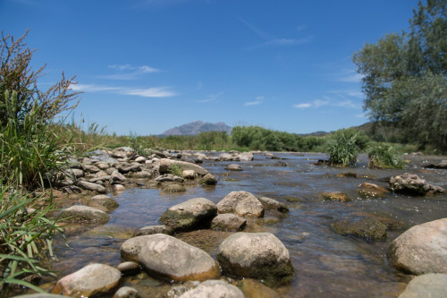 Riu Llobregat. Abrera