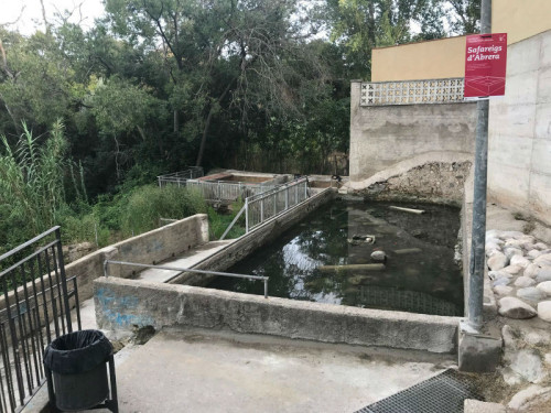 Netega i reparació de la Font dels Peixos d'Abrera