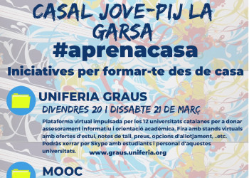 Cartell aprenacasa Jovenut