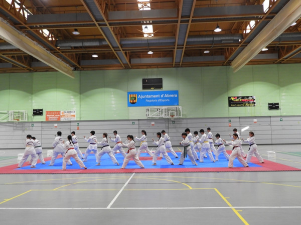 Abrera amb l'esport! Celebrem la cloenda de les activitats d’Educació Física Infantil, Preesportiva i Taekwondo del curs 2022-2023