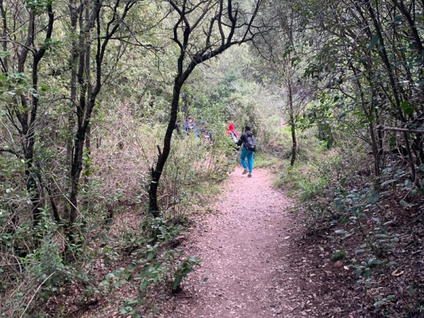 Finalitzada amb èxit la campanya ‘Coneguem els nostres parcs’ de l'alumnat de 5è de primària de les escoles del nostre municipi