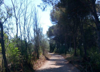 Arranjem l'anti camí Ral a Martorell