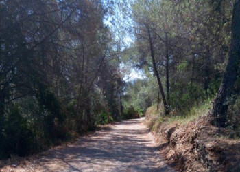 Arranjem l'anti camí Ral a Martorell