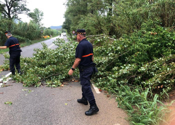 Actuem ràpida i coordinadament davant els incidents que s'estan produint a la via pública per les fortes pluges d'avui dimecres 31 d'agost