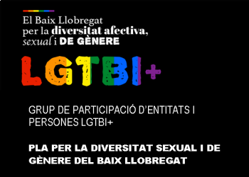 Elaboració del Pla comarcal per la diversitat afectiva, sexual i de gènere