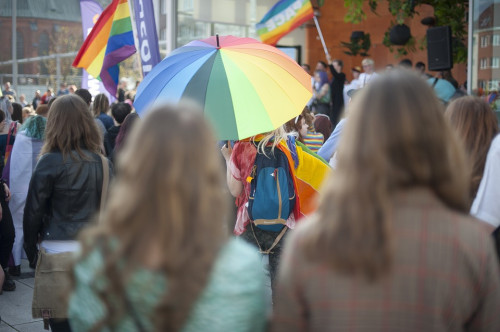 Ahir diumenge 26 d’abril es va commemorar el Dia de la Visibilitat Lèsbica amb l’objectiu de fer visibles les lesbianes en la seva doble discriminació,  la de ser dones i lesbianes