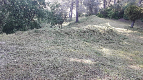 Encetem l'última fase dels treballs de manteniment a les franges perimetrals de seguretat contra incendis forestals i zones verdes del nostre municipi