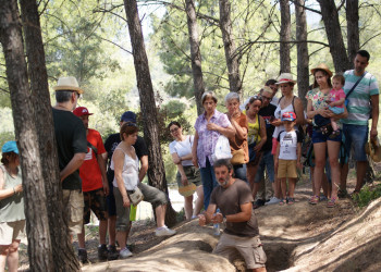 Trinxeres del bosc de Sant Miquel