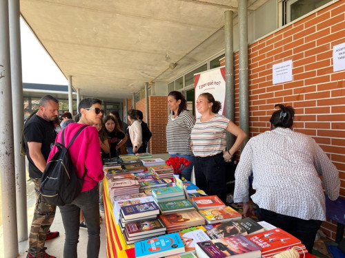 Festa de Primavera de l'Escola Francesc Platón i Sartí